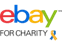 ebay charity auction series logo